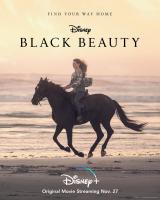 Black Beauty  - Posters