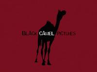 Black Camel Pictures
