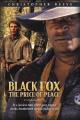 Zorro negro 2: El precio de la paz (TV)