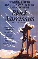 Narciso Negro  - Poster / Imagen Principal