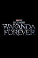 Pantera Negra: Wakanda por siempre  - Promo