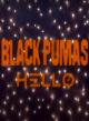 Black Pumas: Hello (Vídeo musical)