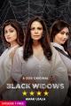 Black Widows (Serie de TV)