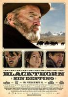 Blackthorn  - Posters