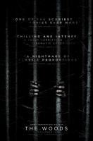 Blair Witch  - Posters