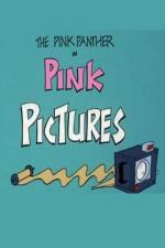 Blake Edwards' Pink Panther: Pink Pictures (S)