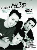 Blink-182: All the Small Things (Vídeo musical)