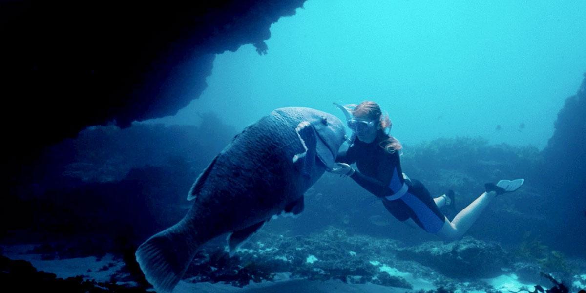 Image gallery for Blueback - FilmAffinity