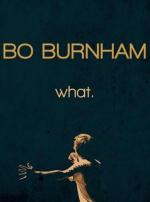 Bo Burnham: what. (TV)