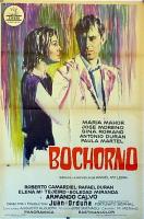 Bochorno  - Poster / Main Image