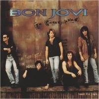 Bon Jovi: In These Arms (Vídeo musical) - Poster / Imagen Principal
