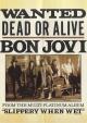 Bon Jovi: Wanted Dead or Alive (Vídeo musical)