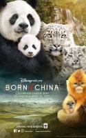 Nacidos en China  - Posters