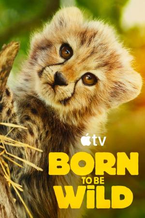 Born to be Wild (TV Miniseries)