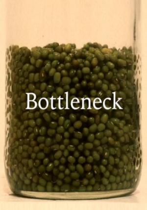 Bottleneck (C)
