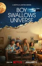 Boy Swallows Universe (TV Series)