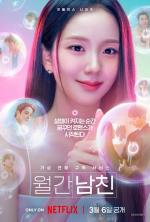 Un novio por suscripción (Serie de TV)