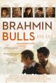 Brahmin Bulls 