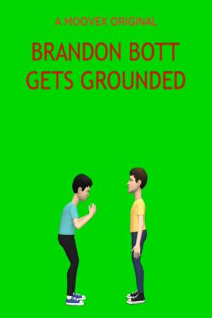 Brandon Bott Gets Grounded (TV Series)