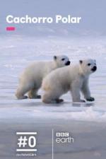 Britain's Polar Bear Cub (TV)