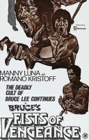 Bruce's Fists of Vengeance  - Poster / Main Image