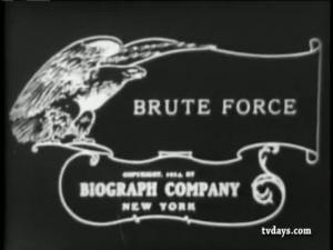 Brute Force 