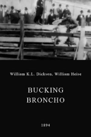Bucking Broncho (S)