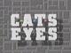 C.A.T.S. Eyes (Serie de TV)