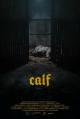 Calf (S)