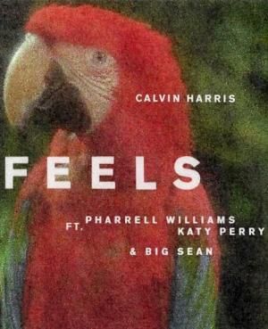 Calvin Harris: Feels (Vídeo musical)
