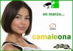 Camaleona (TV Series)