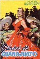 Camino de Guanajuato  - Poster / Imagen Principal