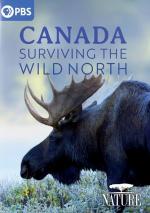 Canadá. Sobrevivir en el norte más salvaje 