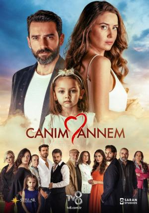 Amor de madre (Serie de TV)