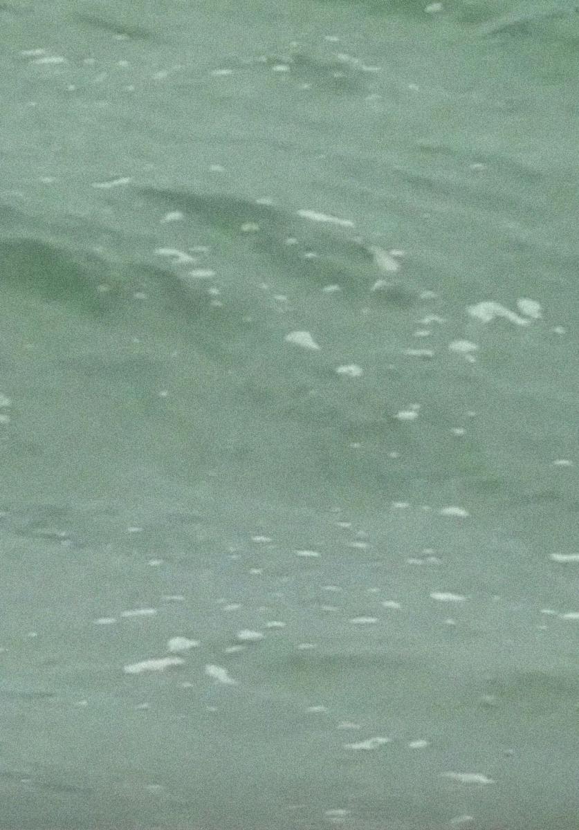 Cape Cod (C) (2018) FilmAffinity