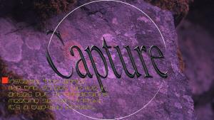 Capture 