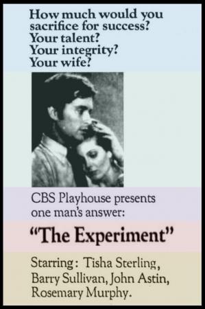 The Experiment (TV)