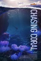 En busca del coral  - Poster / Imagen Principal