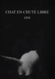 Chat en chute libre (S)