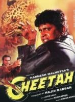 Cheetah  - Poster / Imagen Principal