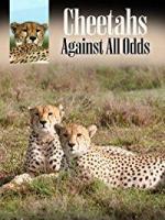 Cheetahs: Against All Odds 