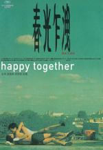 Happy Together: Historia de un encuentro 