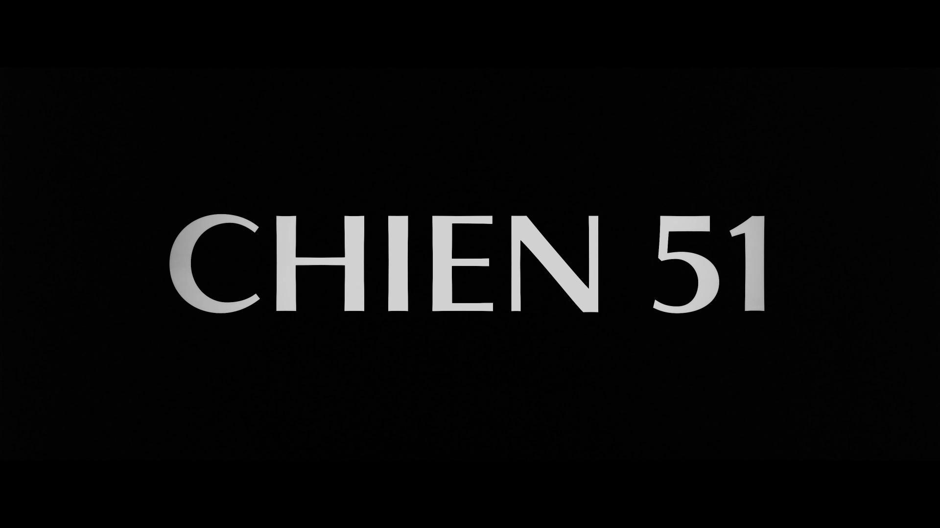 Chien 51 