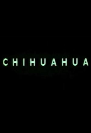 Chihuahua (S)