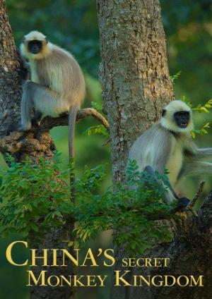 China's Secret Monkey Kingdom 