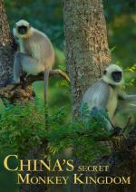 El reino secreto de los monos de China 