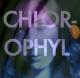 Chlorophyl (S)