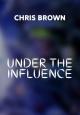 Chris Brown: Under the Influence (Vídeo musical)