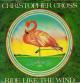 Christopher Cross: Ride Like the Wind (Music Video)