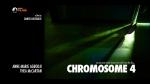 Chromosome 4 (S) (S)